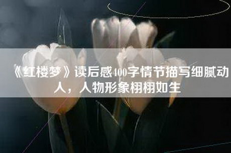 《红楼梦》读后感400字情节描写细腻动人，人物形象栩栩如生