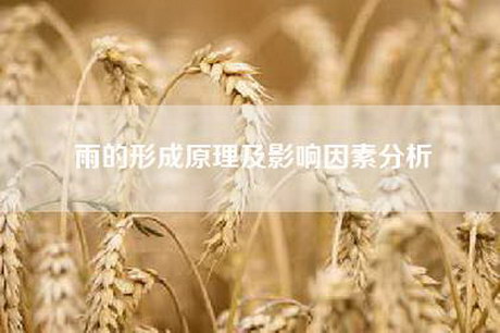 雨的形成原理及影响因素分析