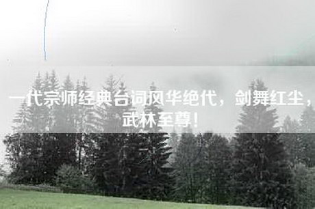 一代宗师经典台词风华绝代，剑舞红尘，武林至尊！