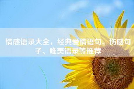 情感语录大全，经典爱情语句、伤感句子、唯美语录等推荐