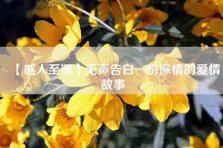 【感人至深】无声告白一份深情的爱情故事