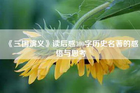 《三国演义》读后感300字历史名著的感悟与思考