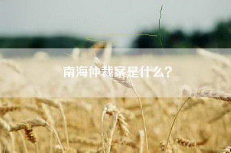 南海仲裁案是什么？