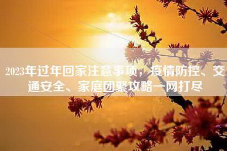 2023年过年回家注意事项，疫情防控、交通安全、家庭团聚攻略一网打尽