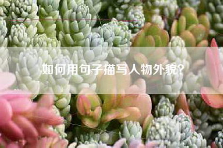 如何用句子描写人物外貌？
