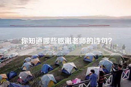 你知道哪些感谢老师的诗句？