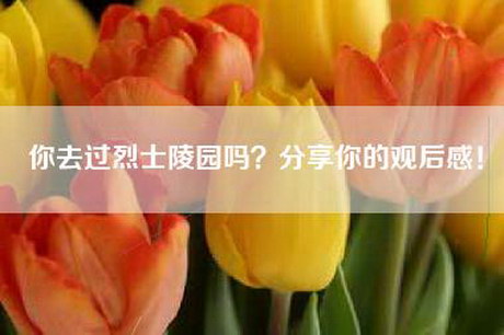 你去过烈士陵园吗？分享你的观后感！