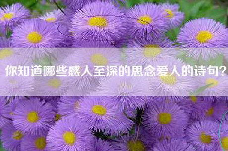 你知道哪些感人至深的思念爱人的诗句？