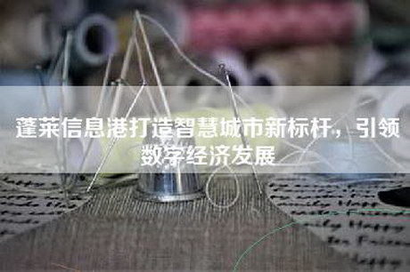 蓬莱信息港打造智慧城市新标杆，引领数字经济发展