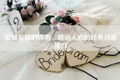 歌颂友情的诗句，感动人心的经典诗歌推荐