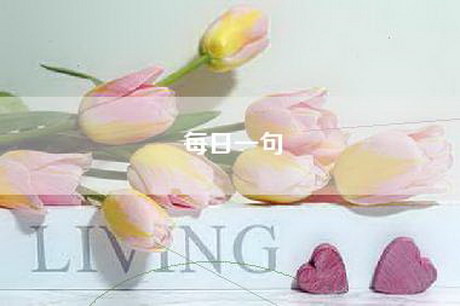 每日一句