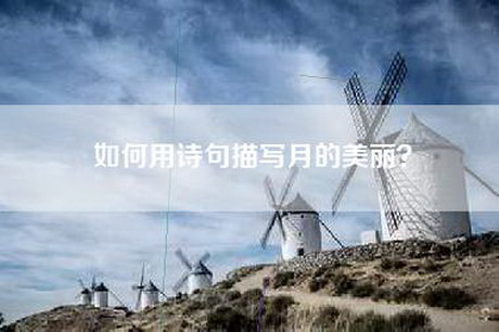 如何用诗句描写月的美丽？