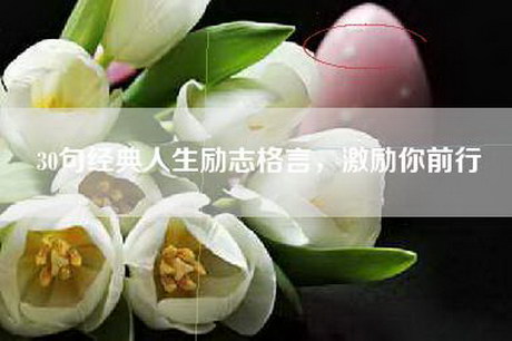 30句经典人生励志格言，激励你前行