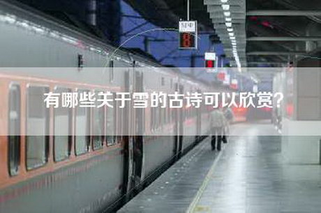 有哪些关于雪的古诗可以欣赏？