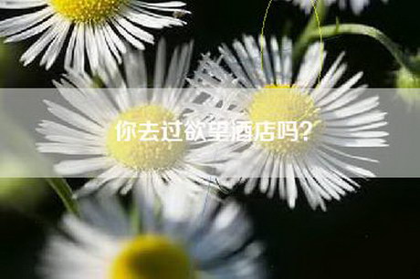 你去过欲望酒店吗？