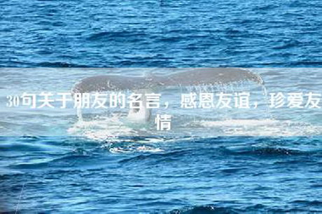 30句关于朋友的名言，感恩友谊，珍爱友情
