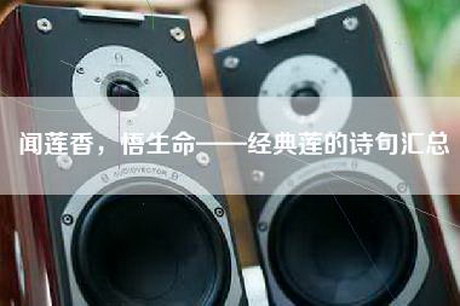 闻莲香，悟生命——经典莲的诗句汇总