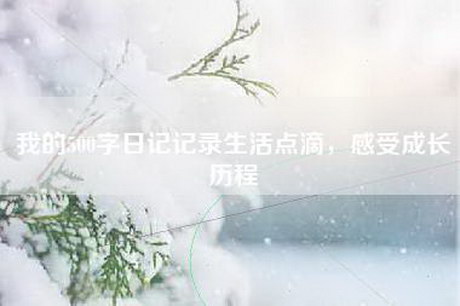 我的500字日记记录生活点滴，感受成长历程