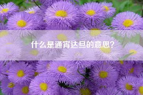 什么是通宵达旦的意思? 什么是通宵达旦的意思?