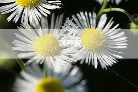 财产税
