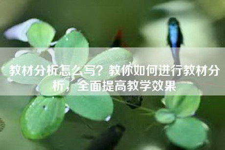 教材分析怎么写？教你如何进行教材分析，全面提高教学效果