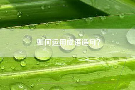 如何运用成语造句? 如何运用成语造句?