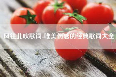 风往北吹歌词-唯美伤感的经典歌词大全