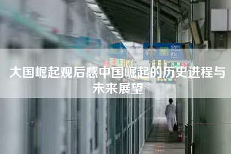 大国崛起观后感中国崛起的历史进程与未来展望