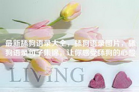 最新舔狗语录大全，舔狗语录图片，舔狗语录句子集锦，让你感受舔狗的心酸