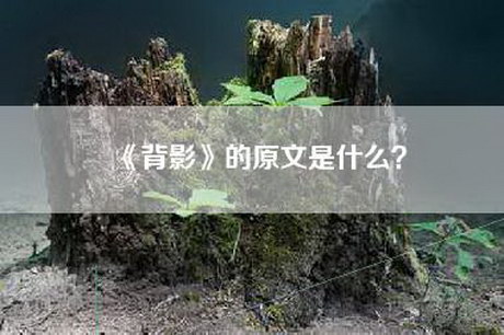 《背影》的原文是什么？