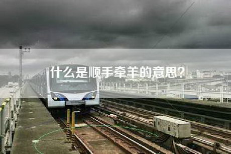 什么是顺手牵羊的意思？