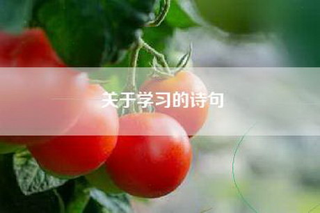 关于学习的诗句