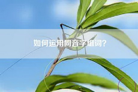 如何运用同音字组词？