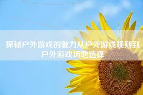 探秘户外游戏的魅力从户外游戏规则到户外游戏场地选择