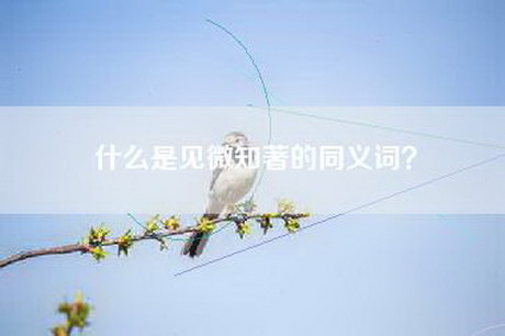 什么是见微知著的同义词？