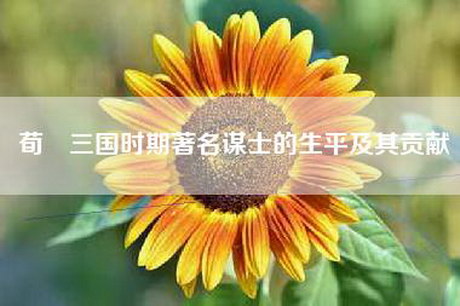 荀彧三国时期著名谋士的生平及其贡献