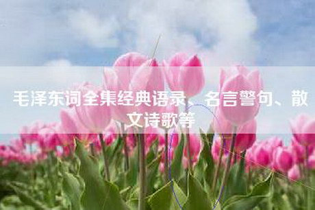 毛泽东词全集经典语录、名言警句、散文诗歌等