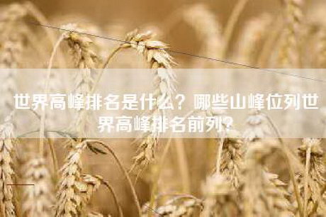 世界高峰排名是什么？哪些山峰位列世界高峰排名前列？