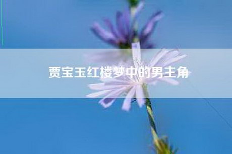 贾宝玉红楼梦中的男主角