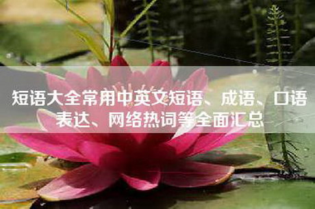 短语大全常用中英文短语、成语、口语表达、网络热词等全面汇总