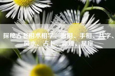 探秘古老相术相学、面相、手相、八字、风水、占卜、命理、星座