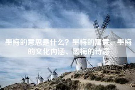 墨梅的意思是什么？墨梅的寓意、墨梅的文化内涵、墨梅的诗意