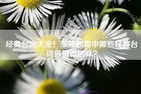 经典台词大全！东邪西毒中哪些经典台词最值得回味？