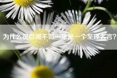 为什么说百闻不如一见是一个至理名言？