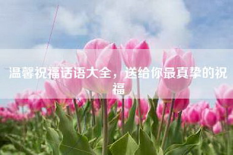 温馨祝福话语大全，送给你最真挚的祝福