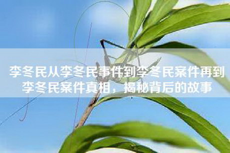李冬民从李冬民事件到李冬民案件再到李冬民案件真相，揭秘背后的故事