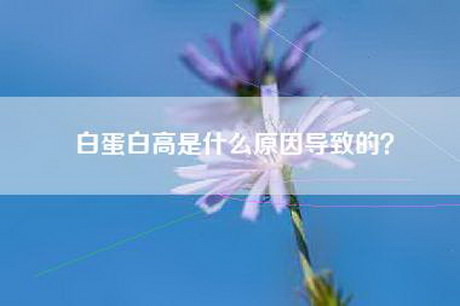 白蛋白高是什么原因导致的？