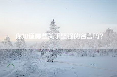 你知道哪些关于坚强的名言吗？