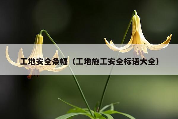 工地安全条幅（工地施工安全标语大全）