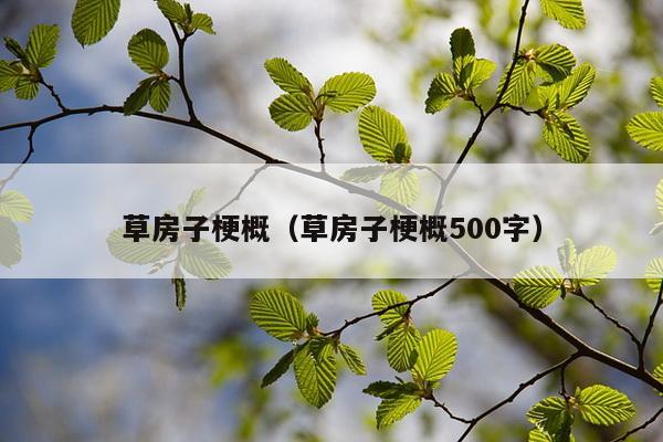 草房子梗概（草房子梗概500字）